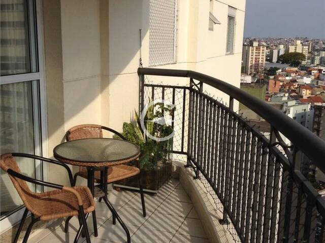 Venda em Vila Mascote - São Paulo